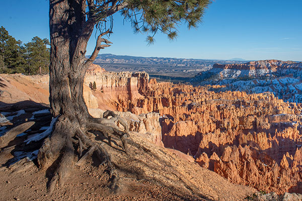 Bryce-Canyon-left